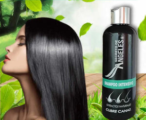 SHAMPOO CUBRE CANAS - SECRETO DE ANGELES